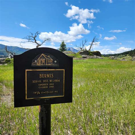 Alberta History The Burmis Tree In Southern Alberta Canada Albums