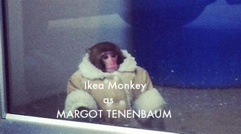 Ikea Monkey Meme Continues | Fun