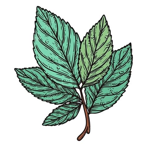 Mint Leaf Pattern