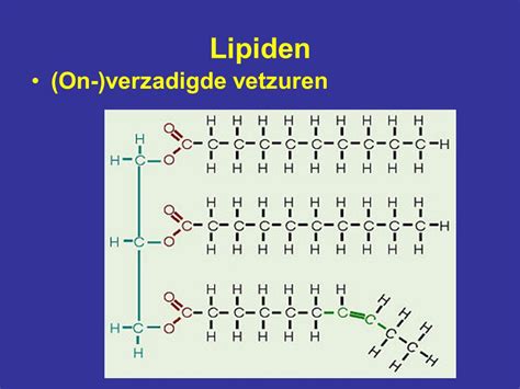 Atoombindingen Covalent Sterk Elektronenpaar Gedeeld Ppt Video