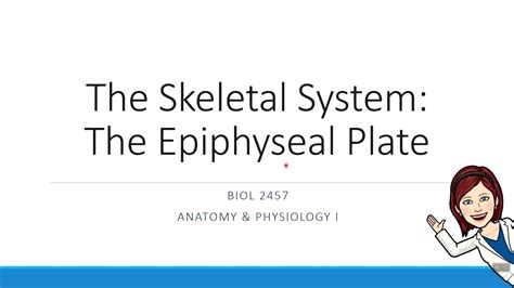 Chapter 6 The Epiphyseal Plate Youtube