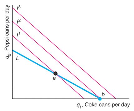 Econ Chapter Choice Flashcards Quizlet