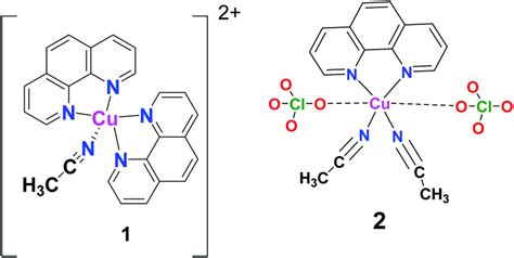 Schematic Structures Of 1 [cu C12h8n2 2 Ch3cn ] Clo4 2 And 2 Download Scientific Diagram