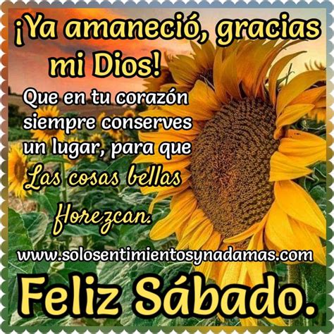 Ya amaneció gracias a mi Dios Solo sentimientos y nada mas