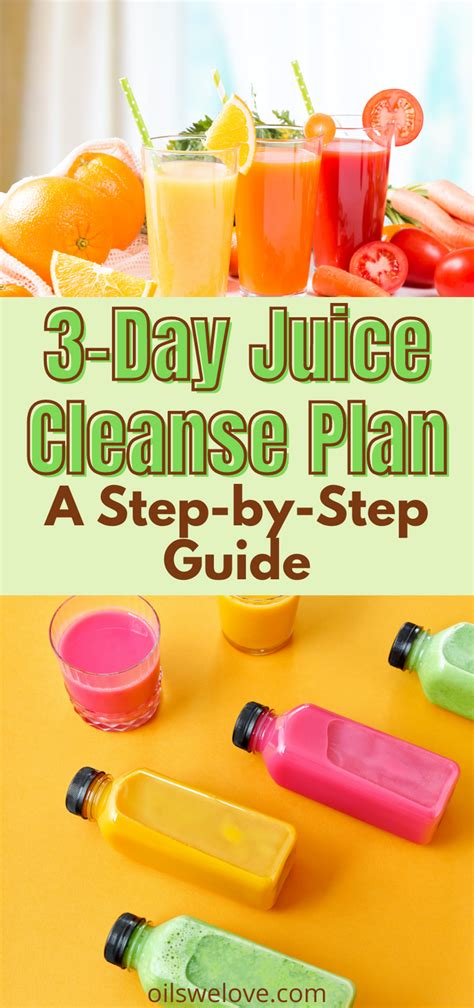 3 Day Juice Cleanse Plan A Step By Step Guide Artofit