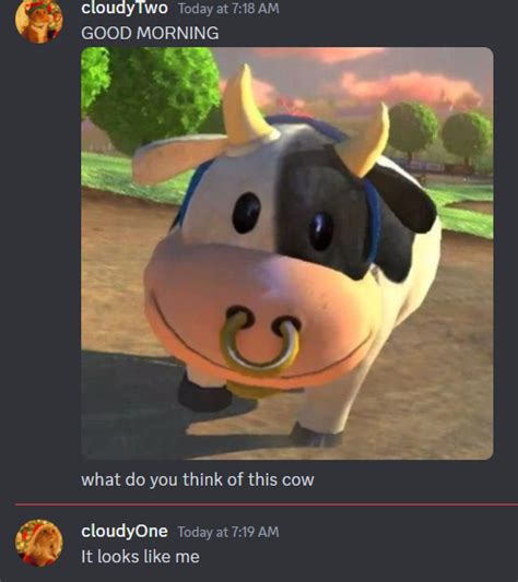 It Looks Like Me Moo Moo Meadows Cow Know Your Meme