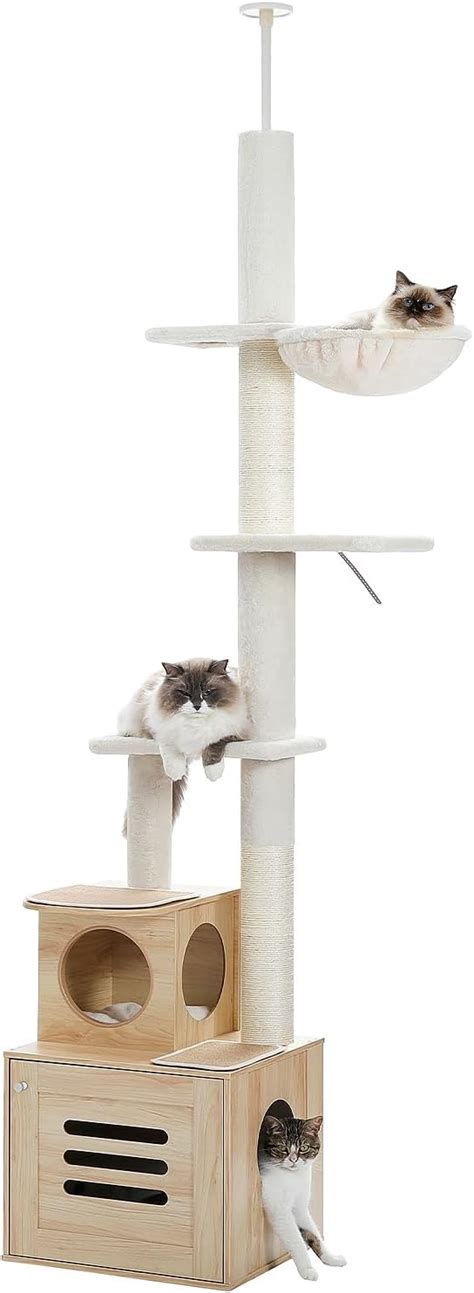 Pawz Road Arbre Chat Cactus Du Sol Au Plafond Pour Chats D Int Rieur