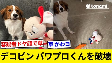 大谷翔平の愛犬デコピン（3）パワプロくんをボロボロに破壊してしまう！！【5chまとめ】【なんjまとめ】 Youtube