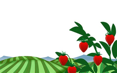 Strawberry Fields 2 Background by kasumigenx on deviantART