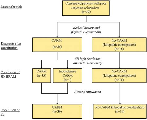 Flowchart Of The Diagnostic Tests Conducted Patients Were Included