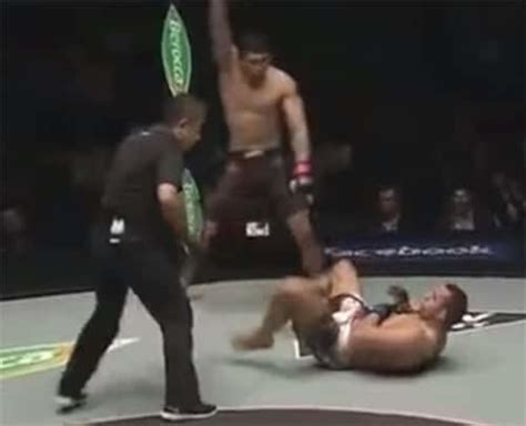 The Most Brutal Flying Knee Kos Youve Probably Never Seen Mma