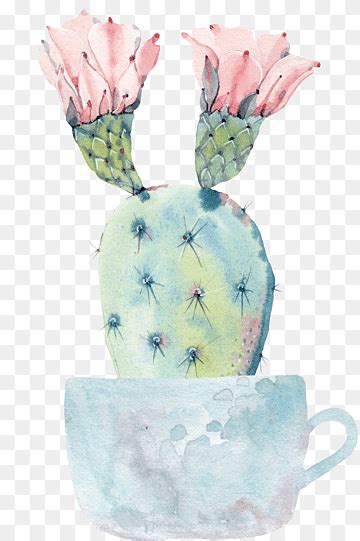 Cactaceae Watercolor Painting Saguaro Hand Painted Watercolor Cactus