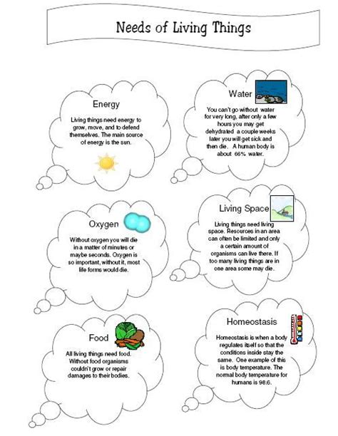 Basic Needs Of Living Things Michael Rampling