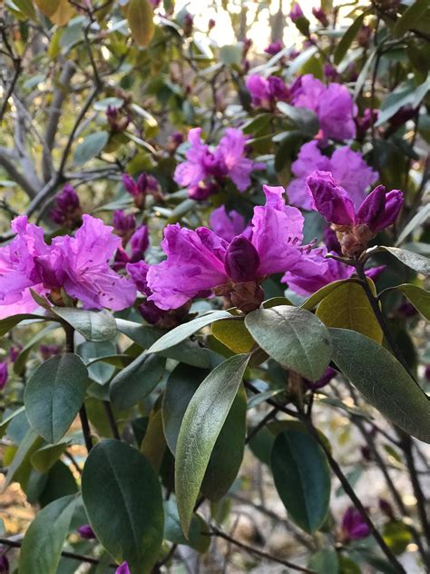 I’m A Danger To My Blog. Warning: I just entered the dashboard. | by