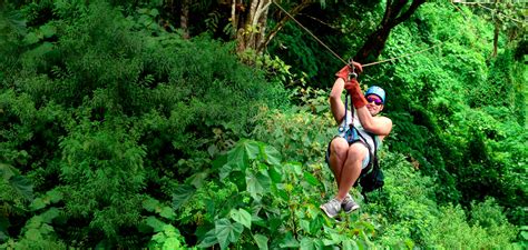 Canopy La Carpintera