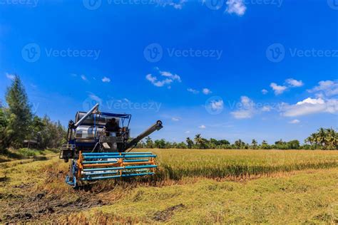 Combine harvester in rice field 7454835 Stock Photo at Vecteezy