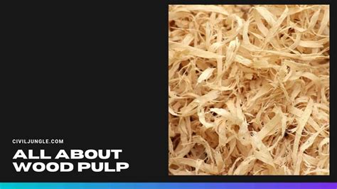 All About Wood Pulp