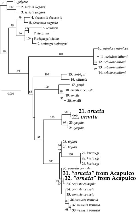 RaxML Tree Showing Phylogenetic Relationships Of Trachemys Samples