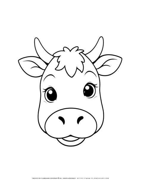 Cute Baby Cow Face Outline Coloring Page A Fun And Engaging Activity