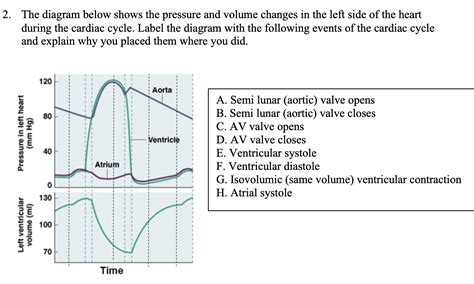 Solved The Diagram Below Shows The Pressure And Volume Chegg