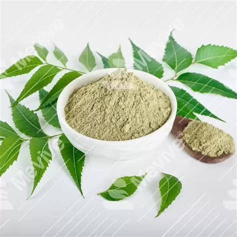 Dried Neem Leaves Powder Manufacturer Mevive®