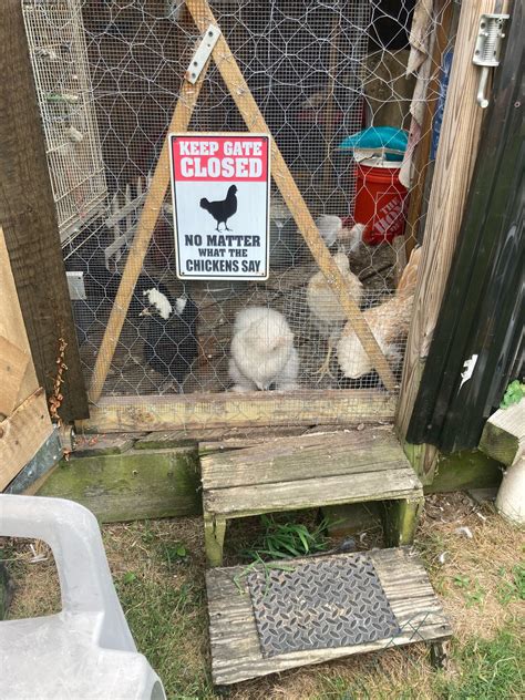 7EB600C2 7B34 4CB8 927A 812BB61F3766 Jpeg BackYard Chickens Learn