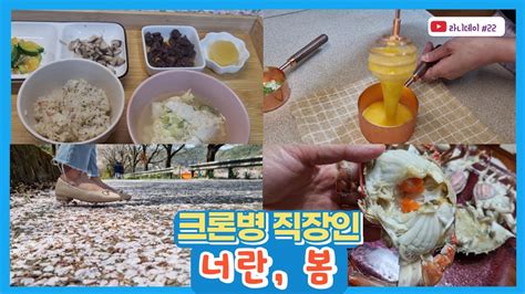 Vlog 크론병브이로그희귀난치성직장인집밥요리바다일상요리바다소중한일상벚꽃크론병 22 Youtube