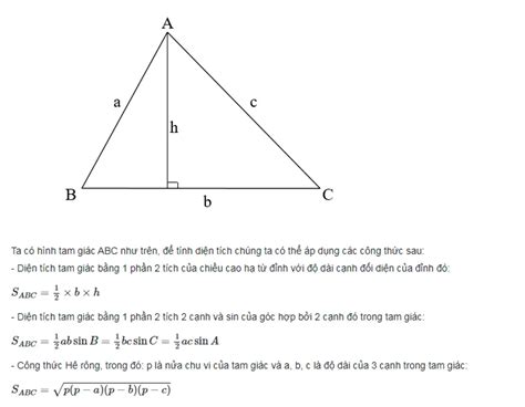 Hướng Dẫn Cách Tính Diện Tích Tam Giác đơn Giản Và Nhanh Chóng Cao