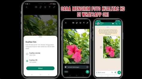 Cara Mengirim Foto Kualitas Hd Di Whatsapp Foto Resolusi Tinggi Auto