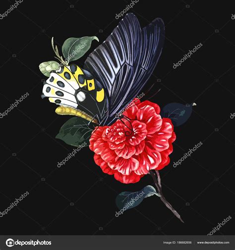 Vintage Drawing Of Butterfly And Flower Vector Illustration Stock