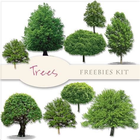 Scrap Dot Freebies Trees Kit