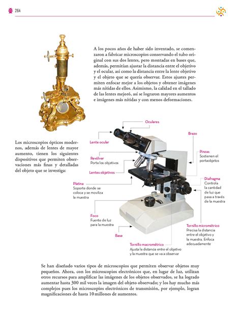 Saberes y pensamiento científico Primer grado Página 264 de 337