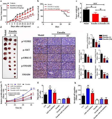 Emodin Inhibits Tumorigenesis In Liver Cancer By Inhibiting Vegfr2 And Download Scientific