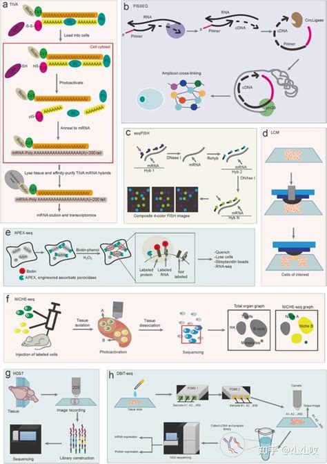 前沿综述 Nature子刊：空间转录组学的临床和转化价值 知乎