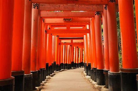 【日本全国】鳥居が織りなす日本の絶景。美しすぎる鳥居が魅力の神社22選 Retrip[リトリップ]