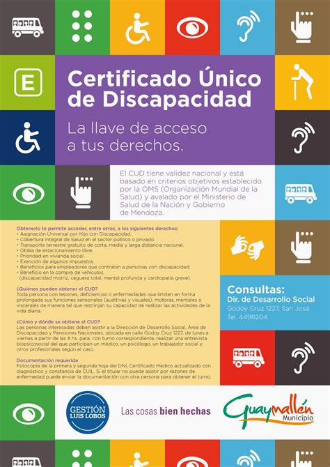 C Mo Tramitar El Certificado Nico De Discapacidad Prensa Guaymall N