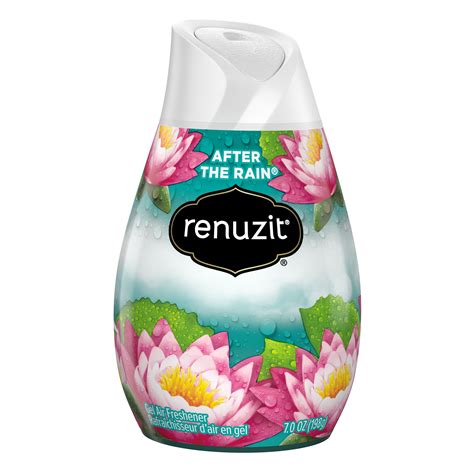 Renuzit Solid Gel Air Freshener Cone After The Rain Cone Walmart