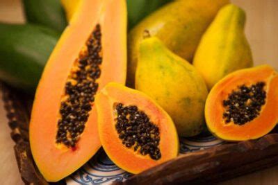 Growing Info And Care of Papaya Fruit Trees