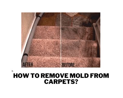 How To Remove Mold From Carpets