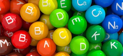 Вітаміни та їх значення в житті людини. Вітаміни, їх роль і значення в ...