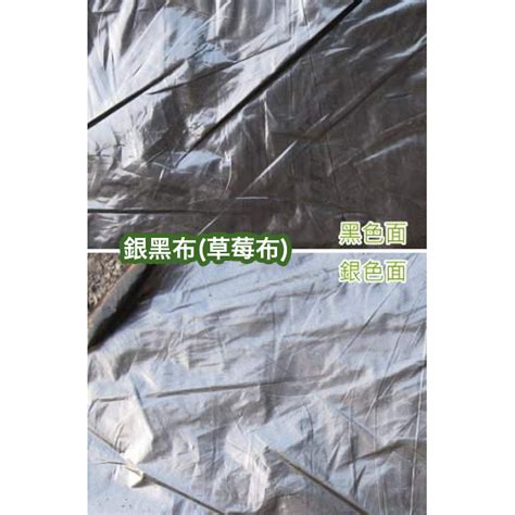 銀黑布草莓布地膜防草布整捲長400公尺 88000 花園城堡園藝資材倉庫★最齊全最省錢。