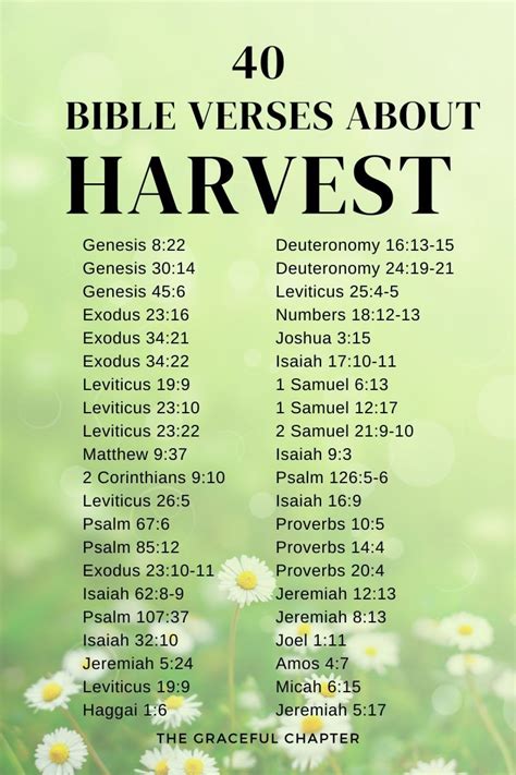 40 Bible Verses About Harvest - The Graceful Chapter