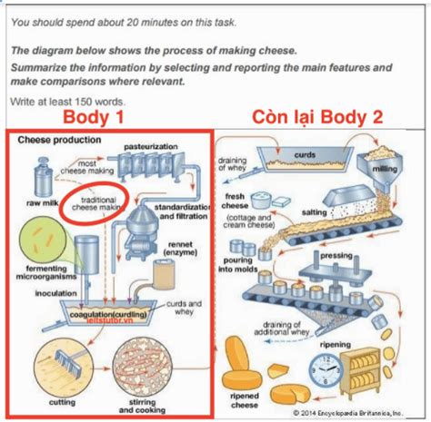 Phân tích đề The diagram below shows the process of mak