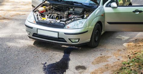 Common Causes Of Leakage After An Oil Change Carshtuff