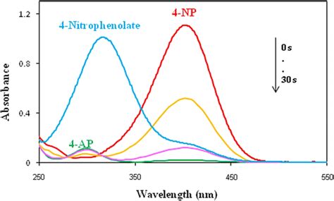 The Uv Vis Spectra Of The 4 Np Solution In The Presence Of The Nabh4 Download Scientific