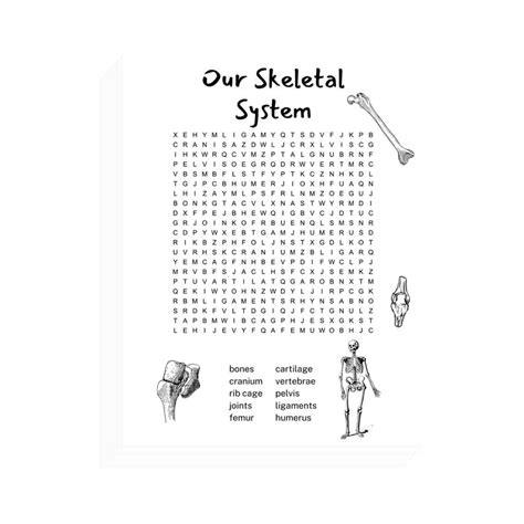 Body Systems Word Search Bundle Printable Value Pack Of 5 Etsy