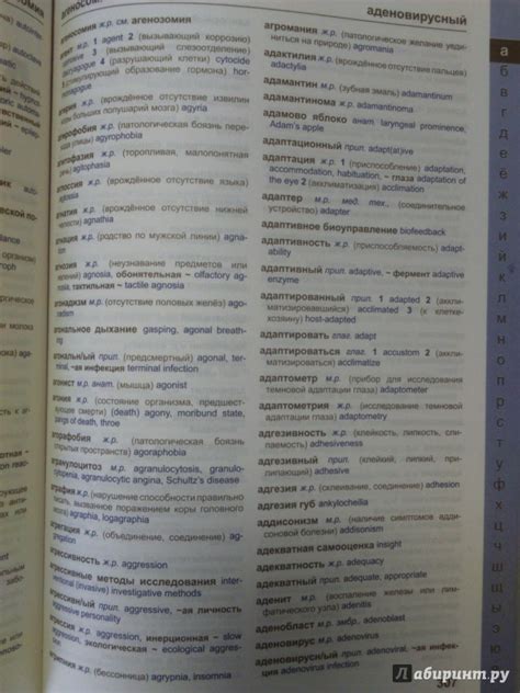 Книга: Большой англо-русский и русско-английский медицинский словарь ...