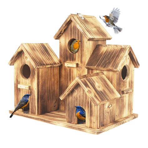 10 Best Raven Bird Houses For Your Garden Top Picks Hummingbirds Plus