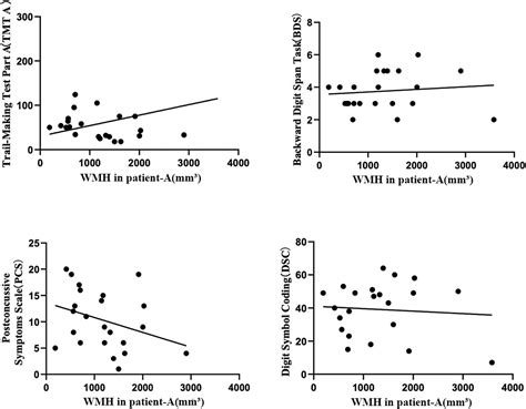 Frontiers Frontal White Matter Hyperintensities Effect On Default