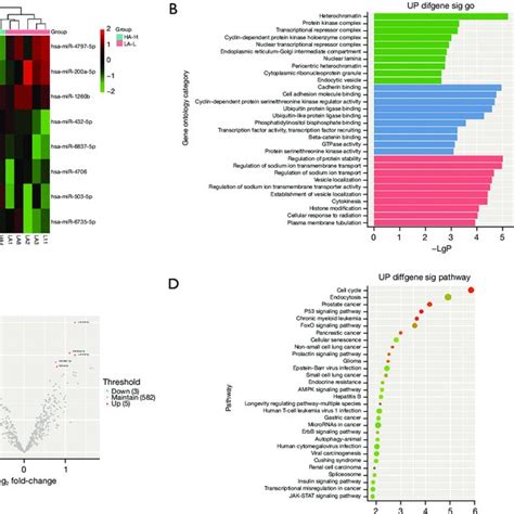 Different Pde Exosomal Mirna Profiles A Heatmap Describing Download Scientific Diagram